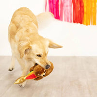 Pet Shop by Fringe Studio dog toys Rainbows High Star Sloth Plush Dog Toy