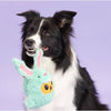 BARK dog toys Buddy The Nutty Bunny Easter Plush Squeaky Spring Dog Toy