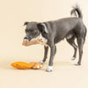 Pet Shop by Fringe Studio dog toys We Came We Saur Canvas Mini Dog Toy Set - 3pc
