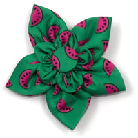 Watermelon Green Flower Pet Collar Attachment - 2 Sizes