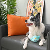 Puppy Garden Spring Watering Can Plush Squeaky Ball Dog Toy