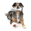 FuzzYard dog toys Fetch My Slippers & Paper Squeaky Plush Dog Toy Set - 2pk