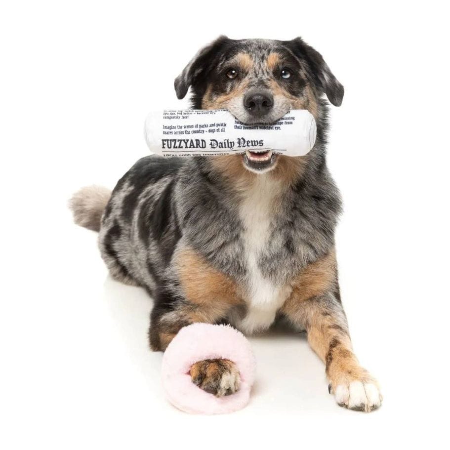 FuzzYard dog toys Fetch My Slippers & Paper Squeaky Plush Dog Toy Set - 2pk