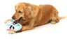 FuzzYard dog toys Gamezy Fun Controller Plush Squeak Dog Toy
