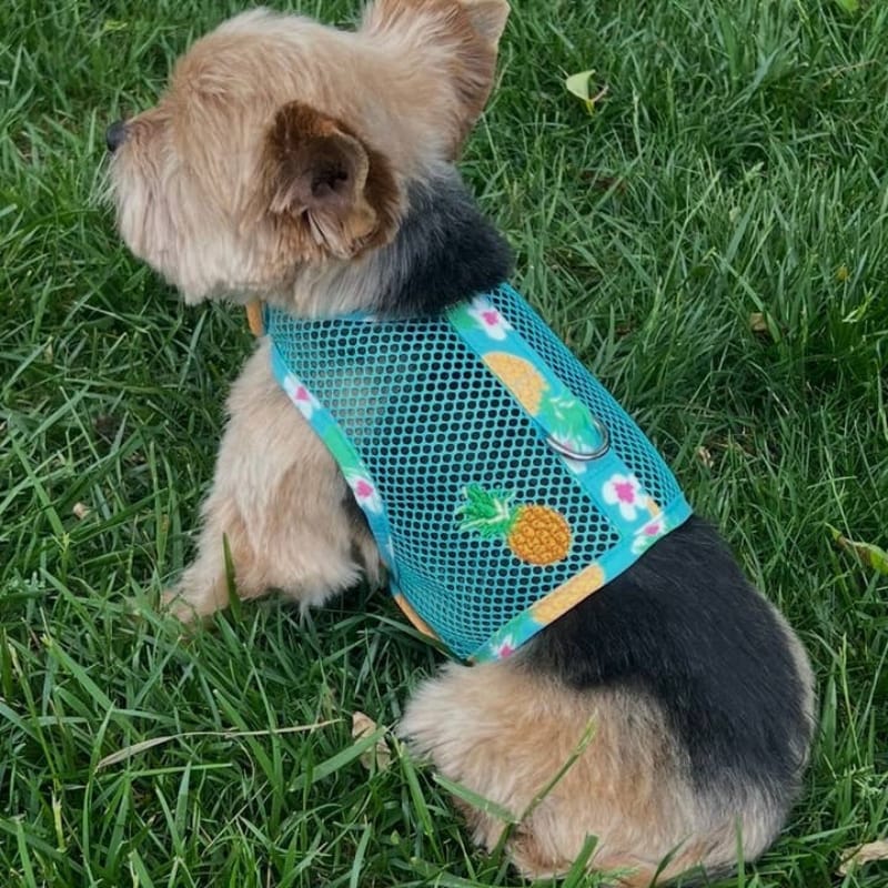 Doggie Design, Inc Harnesses XS Cool Mesh Dog Harness with Leash - Pineapple Luau