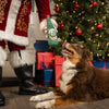 Huxley & Kent dog toys Holiday Cheer Be-er Plush Squeaky Dog Toy