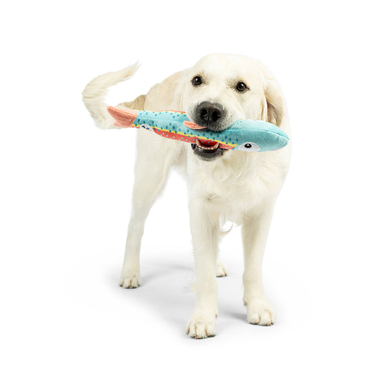 Huxley & Kent Huxley & Kent - Fetchies® Travis Trout Dog Toy: Small