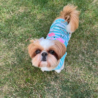 Parisian Pet® Tee's Pink Flamingos Tropical Paradise Blue Stripe Dog T-Shirt