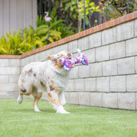 USA Pup Red Wht Blue Patriotic Plush Squeaky Bone Dog Toy - 2 Sizes