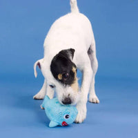 PetShop by Fringe Studio dog toys Out of the Blue Rubber & Plush Shark Dog Toy