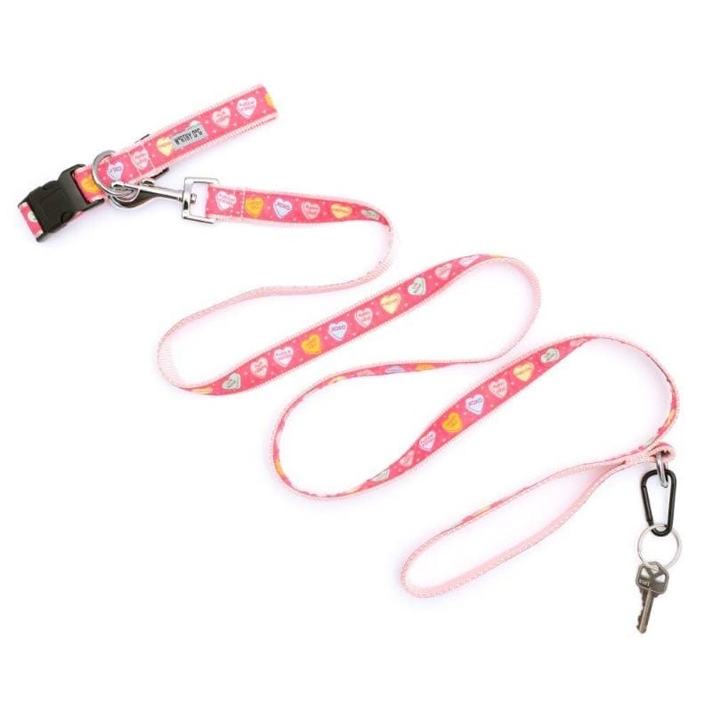 The Worthy Dog Leashes Puppy Love Hearts Pink Dog Leash - 2 Sizes