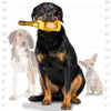 VIP Products/Tuffy dog toys Crispaw Champion Silly Squeaker Bottle Tuffy Durable Dog Toy