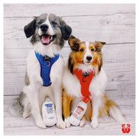 PAWTY Dog Toys dog toys Pawty Smirruff Ice Bottle Plush Squeaky Dog Toy