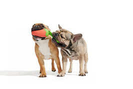 BARK dog toys Super Chewer Red Habanero Pupper Rubber Dog Chew Toy