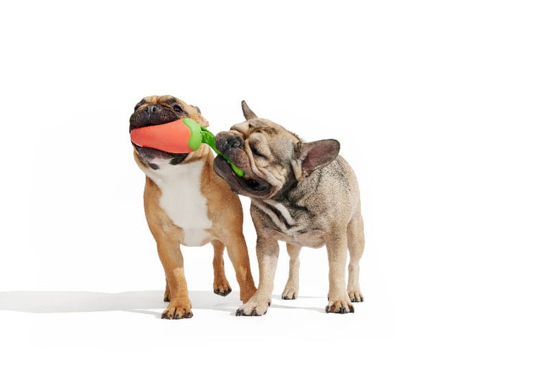 BARK dog toys Super Chewer Red Habanero Pupper Rubber Dog Chew Toy