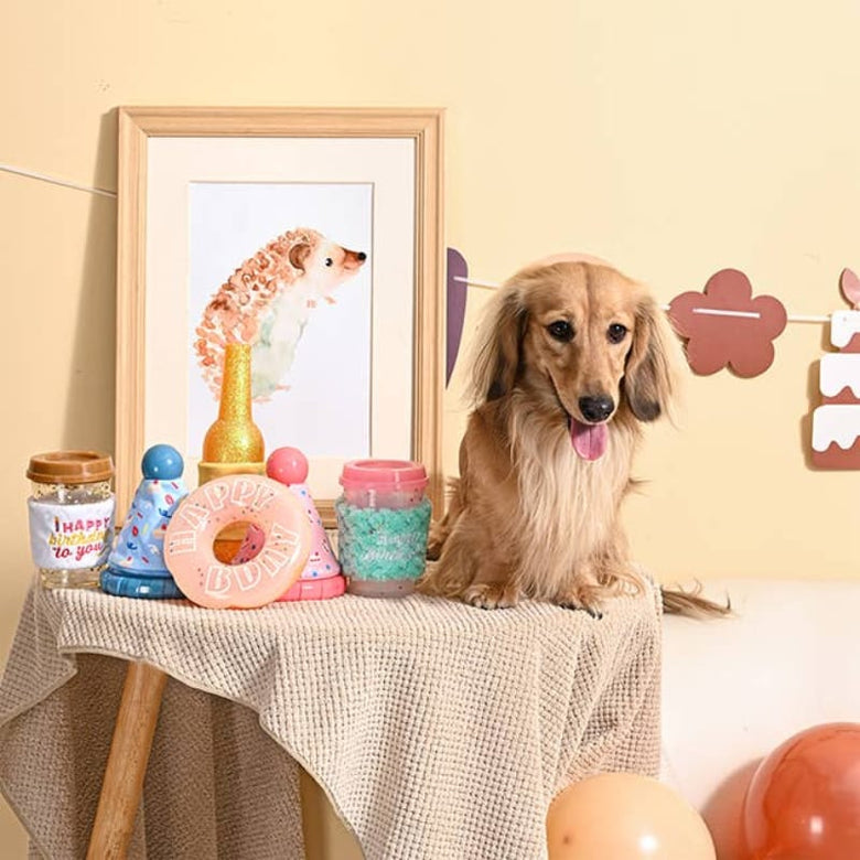 Hugsmart Products Inc dog toys Yappy Birthday Brown Birthday Coffee Cup Rubber Dog Toy