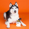 PetShop by Fringe Studio Toys Halloween One Wicked Ghost Natural Latex Squeak Dog Chew Toy