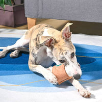 Hugsmart Products Inc dog toys Coffee Hour StarPaws Coffee Rubber Dog Toy