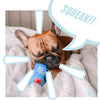 PAWTY Dog Toys dog toys Furji Water Plush Squeak Dog Toy