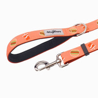 Hugsmart Products Inc Leashes FoodieTime Dog Leash