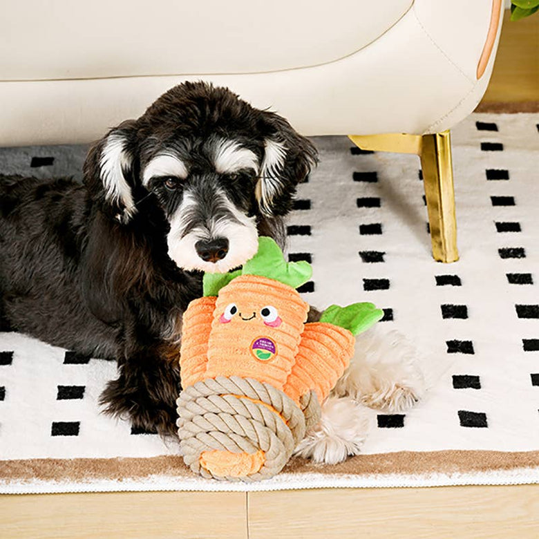 Hugsmart Products Inc dog toys Puppy Garden Bunch of Carrots Rope Spring Plush Dog Toy