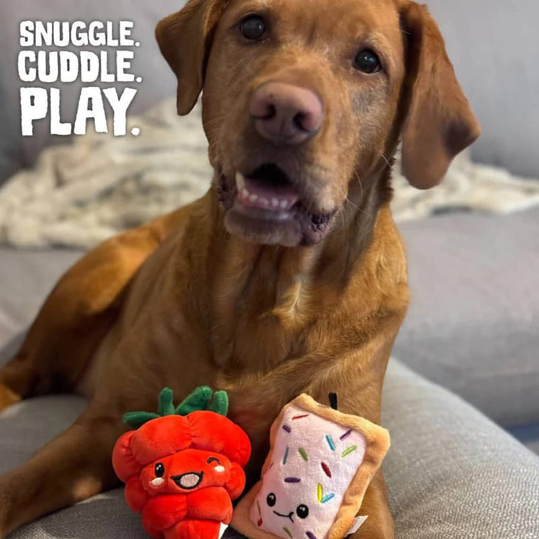 SnugArooz dog toys Poptart and Raspberry Plush Squeaky Dog Toy Set - 2pk