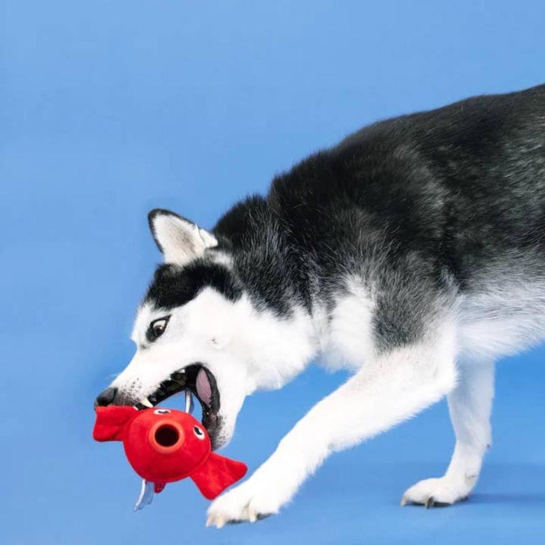 PetShop by Fringe Studio dog toys Reel Me In Red Fish Rubber & Plush Dog Toy