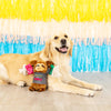 Tacos & Tequila Fiesta Sloth Plush Squeaky Rope Dog Toy