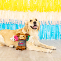 Tacos & Tequila Fiesta Sloth Plush Squeaky Rope Dog Toy