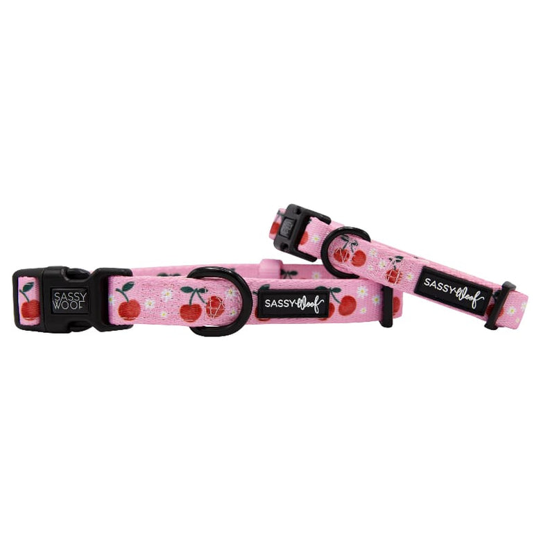 SASSY WOOF COLLARS Mon Cherry (Fruits) Pink Adjustable Dog Collar