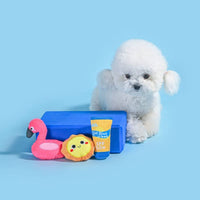 Hugsmart Products Inc dog toys Beach Daze Barkin' Beach Plush Dog Toy Set - 3 Pc