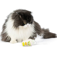 Huxley & Kent Cat Toys Meh' tcha Pee Latte Plush Cat Toy