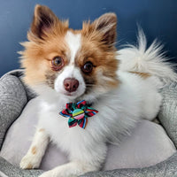 Huxley & Kent Bow Tie Serape Stripe Colorful Pinwheel Pet Collar Attachment -2 Sizes