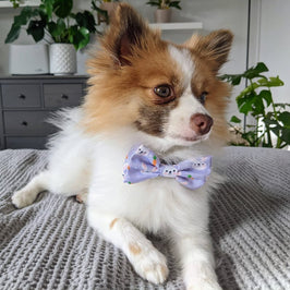 Huxley & Kent Bow Tie Funny Bunny & Carrots Purple Dog Bow Tie - 2 sizes