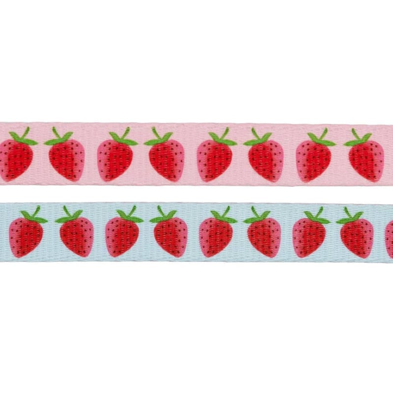 SASSY WOOF Leashes I Woof You Berry Much (Fruits) Light Blue & Pink Dog Leash