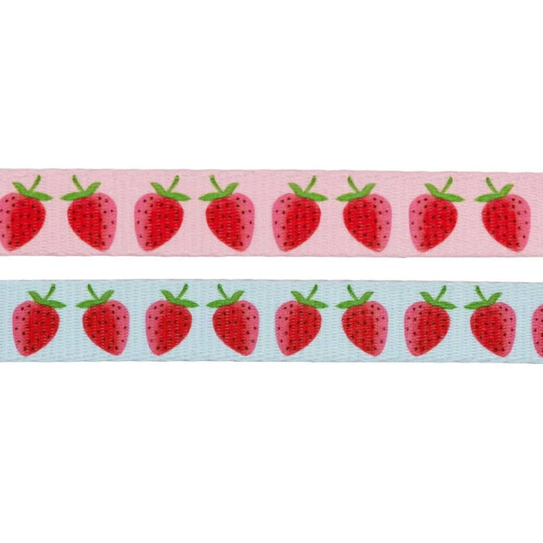 SASSY WOOF Leashes I Woof You Berry Much (Fruits) Light Blue & Pink Dog Leash