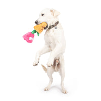 Huxley & Kent Huxley & Kent - Seek 'n Treat Rosie Pawt Dog Toy: Small