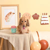 Hugsmart Products Inc dog toys Yappy Birthday Pink Birthday Coffee Cup Rubber Dog Toy