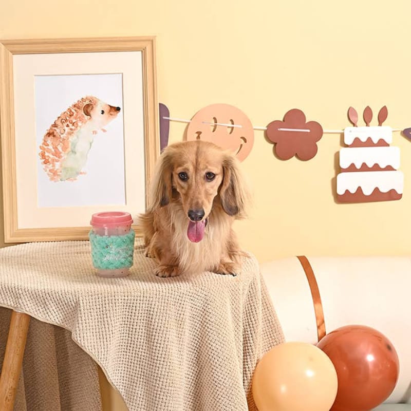 Hugsmart Products Inc dog toys Yappy Birthday Pink Birthday Coffee Cup Rubber Dog Toy