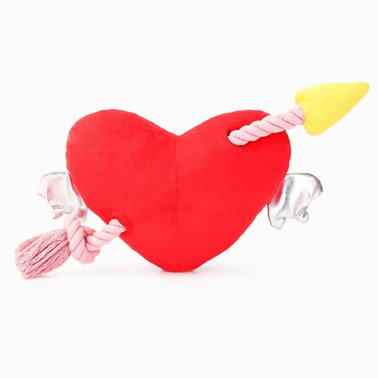 Hugsmart Products Inc dog toys Woof Love Heart & Arrow Rope Plush Squeak Dog Toy