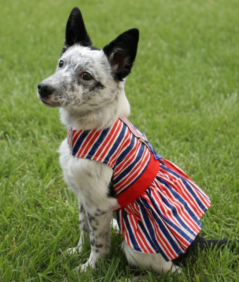 Doggie Design Doggie Design - Patriotic Dog Dress with Matching Leash: X-Large