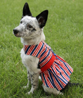 Doggie Design Doggie Design - Patriotic Dog Dress with Matching Leash: X-Large