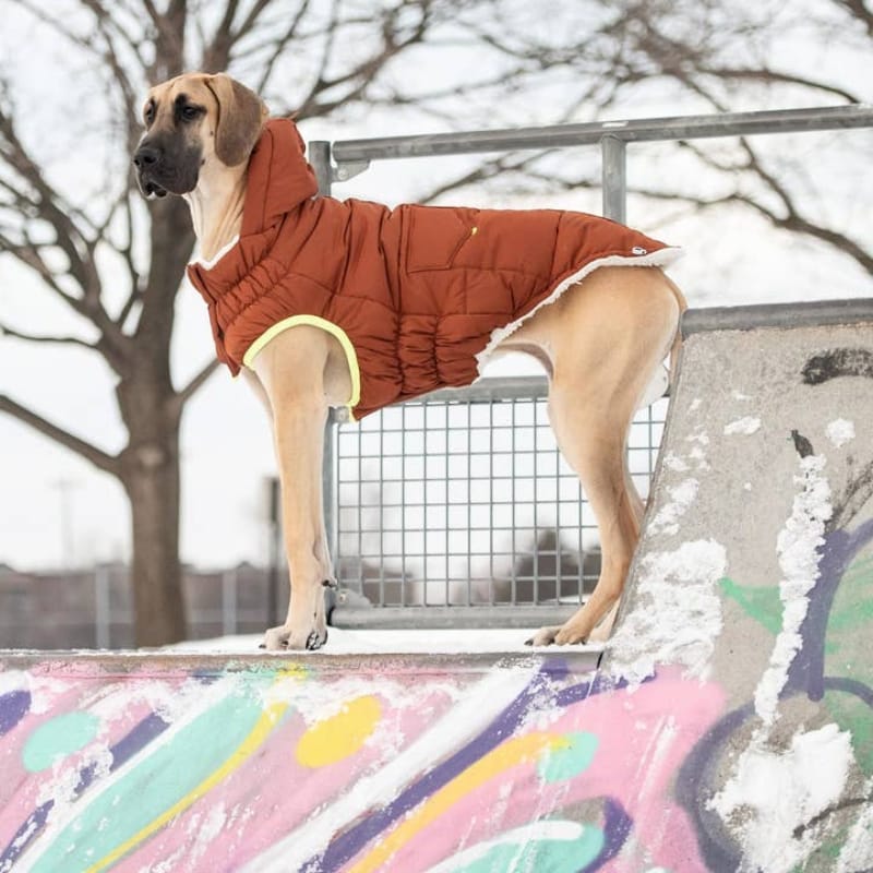 GF Pet Jackets XXS Super Puff Elasto-Fit Hazel Dog Parka