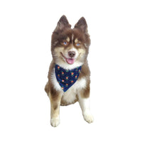 Barker's Bowtique Bandanas Christmas Reversible Elf Dog Bandana
