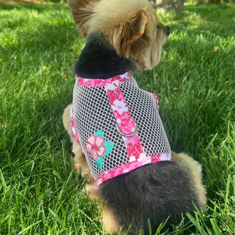 Doggie Design, Inc Harnesses Cool Mesh Dog Harness with Leash - Hawaiian Hibiscus Pink