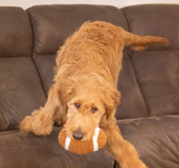 Thoozy dog toys Football Shaggy Plush Squeak Dog Toy - 6.5"
