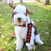 Buffalo Red Check Antler Holiday Warm Pet Hat with Snugfit