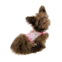 Pooch Outfitters Harnesses Eva Dog Harness