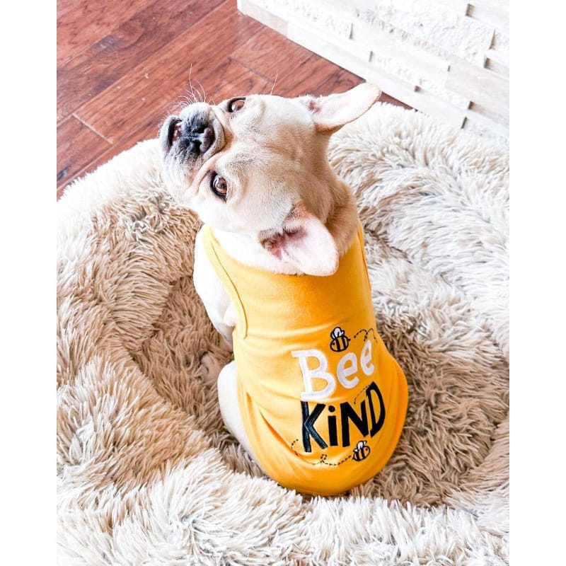 Parisian Pet® Tee's Bee Kind Spring Yellow Dog T-Shirt