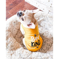 Parisian Pet® Tee's Bee Kind Spring Yellow Dog T-Shirt